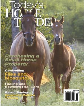 Today's Horse Trader